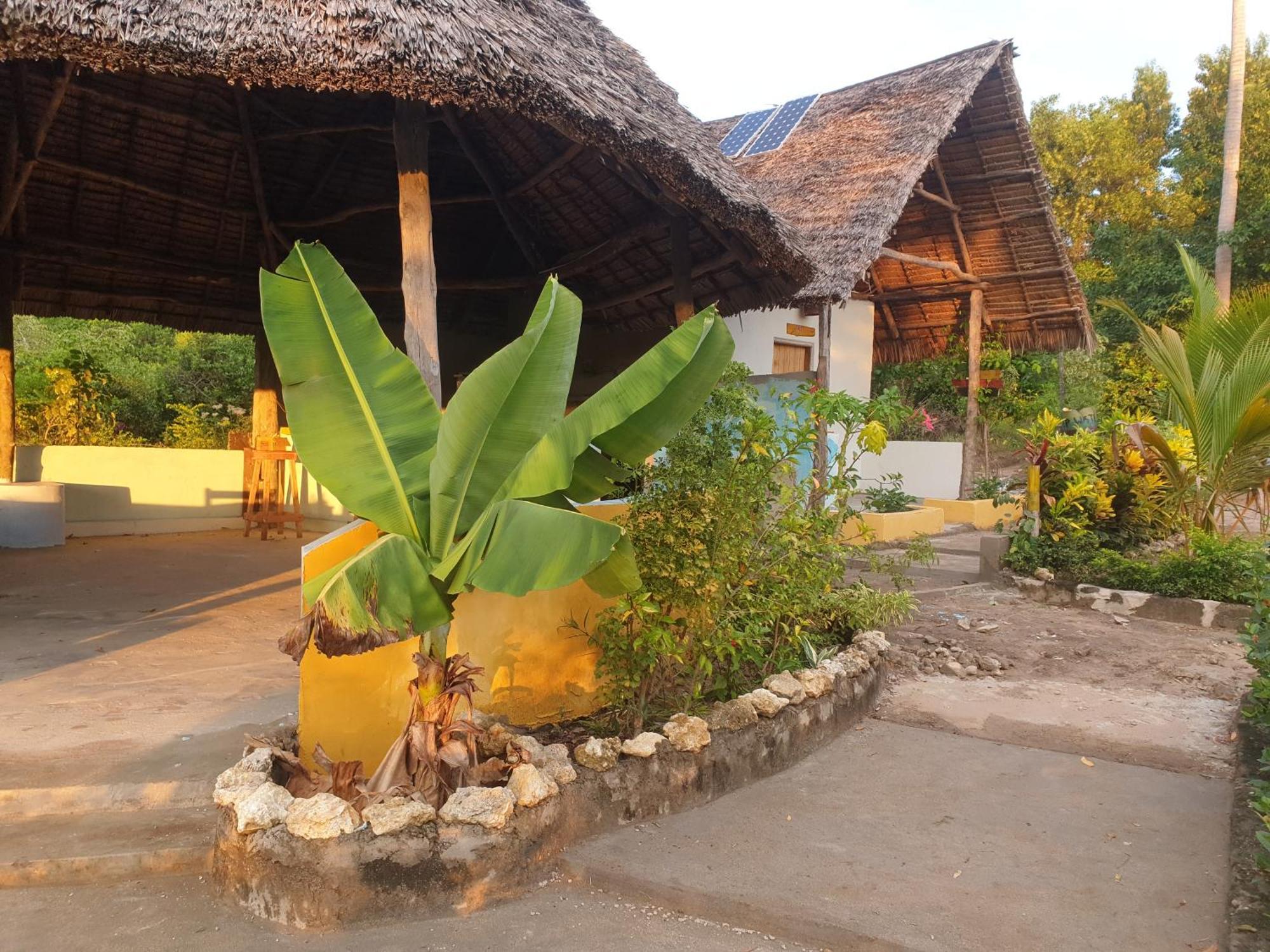 Bed and Breakfast Rasta House Килиндони Экстерьер фото